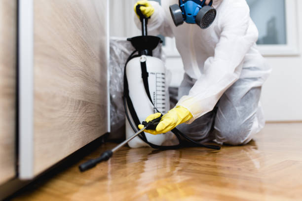 Best Affordable Pest Control Services  in Sandstone, MN