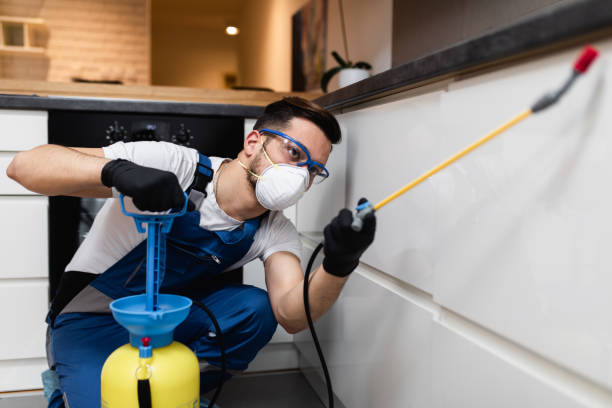  Sandstone, MN Pest Control Pros