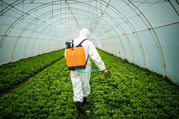 Best Best Pest Control Companies  in Sandstone, MN