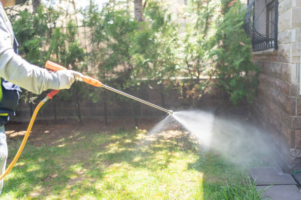Best Wasp Removal Services  in Sandstone, MN