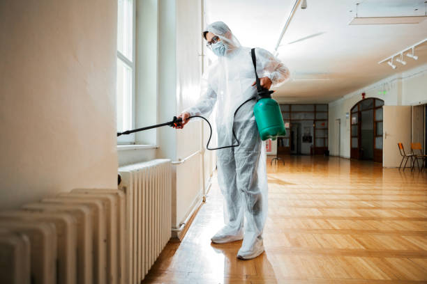 Professional Pest Control in Sandstone, MN