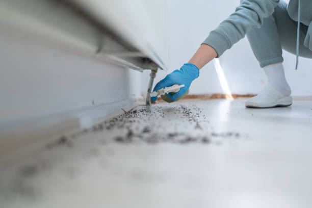 Best Rodent Control Near Me  in Sandstone, MN
