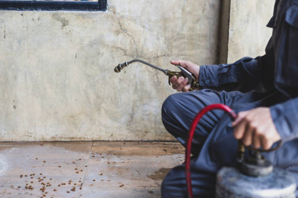 Best Emergency Pest Control  in Sandstone, MN